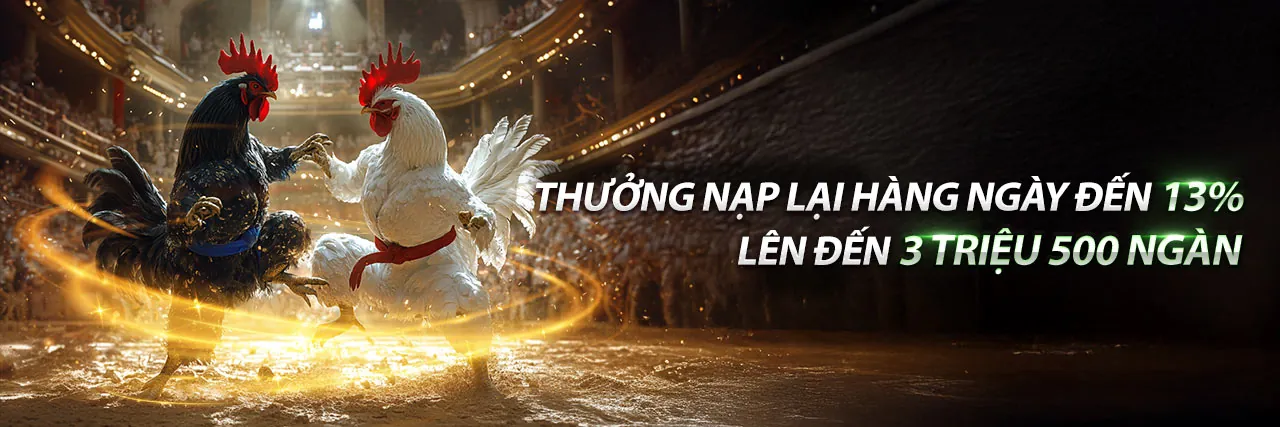 Ưu Đãi Hấp Dẫn 8xbet chính thức 2026