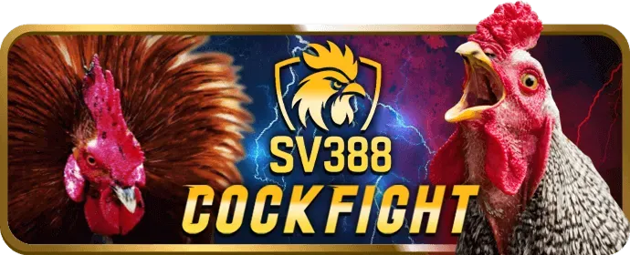 Quản lý vốn cá cược thông minh và có trách nhiệm tại 8xbet chính thức